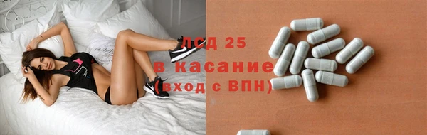шишки Майский